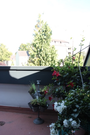Dachterrasse Dachgeschosswohnung Hilden