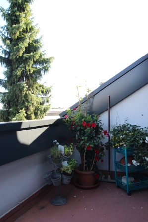 Dachterrasse Dachgeschosswohnung Hilden